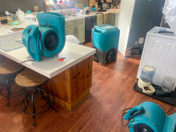 Best Sewage cleanup and water damage restoration  in Weston Lakes, TX