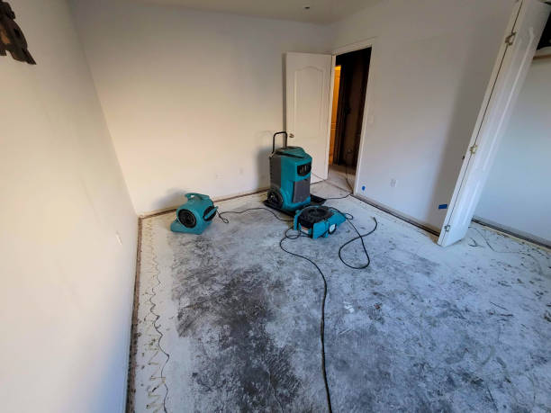 Best Flood damage cleanup  in Weston Lakes, TX
