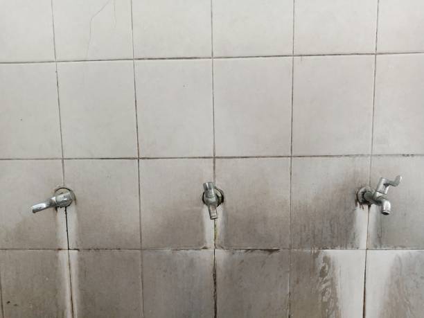 Best Emergency water damage restoration  in Weston Lakes, TX