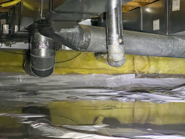 Best Basement water damage restoration  in Weston Lakes, TX