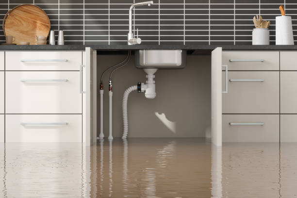 Best Ceiling water damage repair  in Weston Lakes, TX